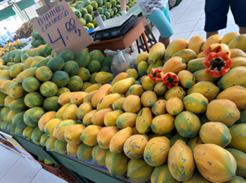 スクリーンショット 2026-01-08 151106