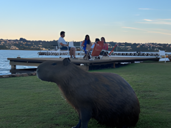 スクリーンショット 2026-01-08 151204