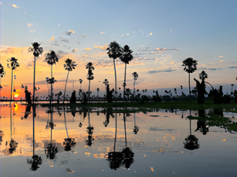 スクリーンショット 2026-01-08 153345